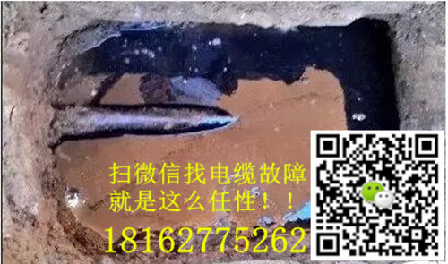微信就可以找九一免费看片了.jpg