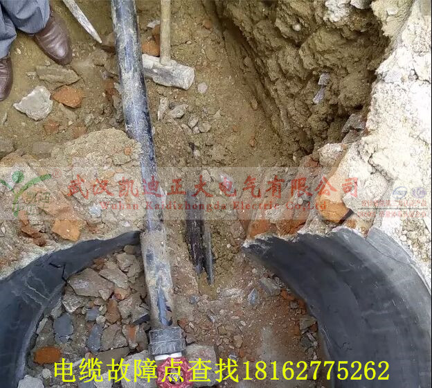 九一免费看片点找出.jpg