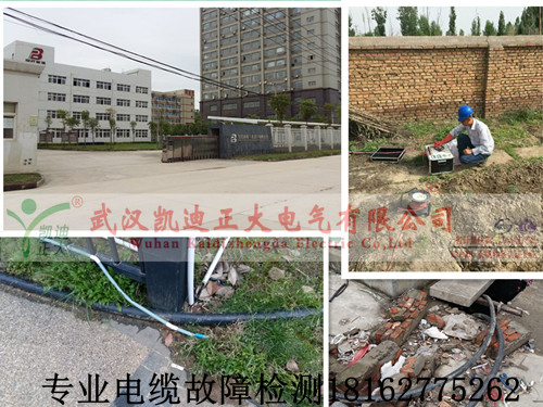 专业九一免费看片检测.jpg