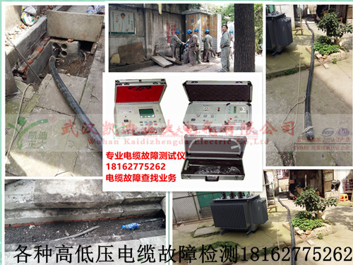 各种高低压九一免费看片检测.jpg