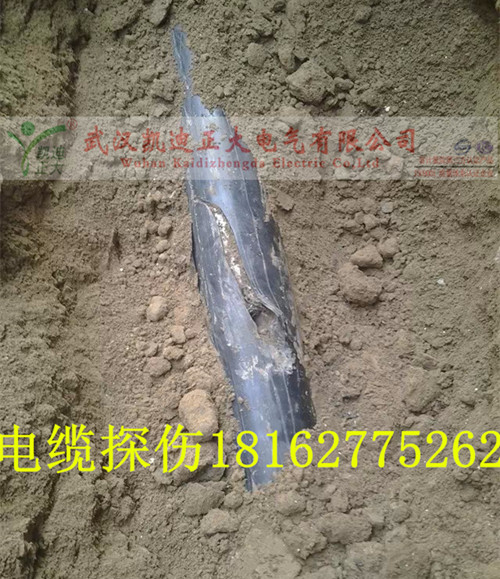 九一免费看片点找出结果.jpg