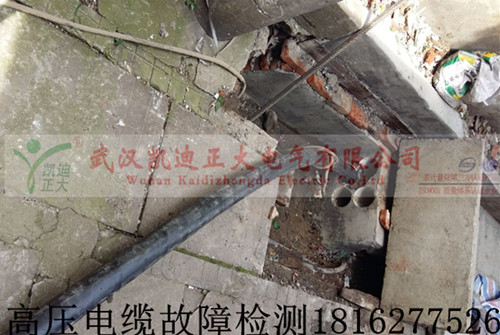 高压九一免费看片检测.jpg