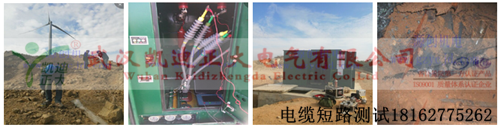 九一免费看片测试组图.png