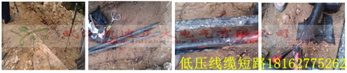 湖北大学校园九一免费看片检测.png