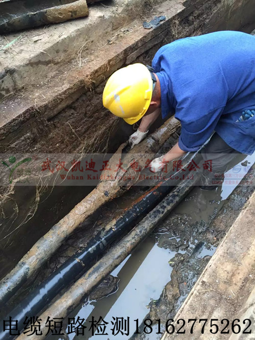 九一免费看片测试.jpg