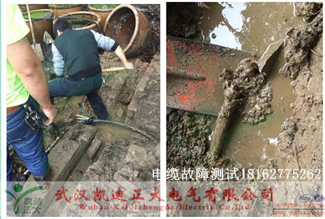 植物园九一免费看片测试.jpg